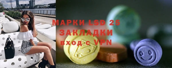винт Аркадак