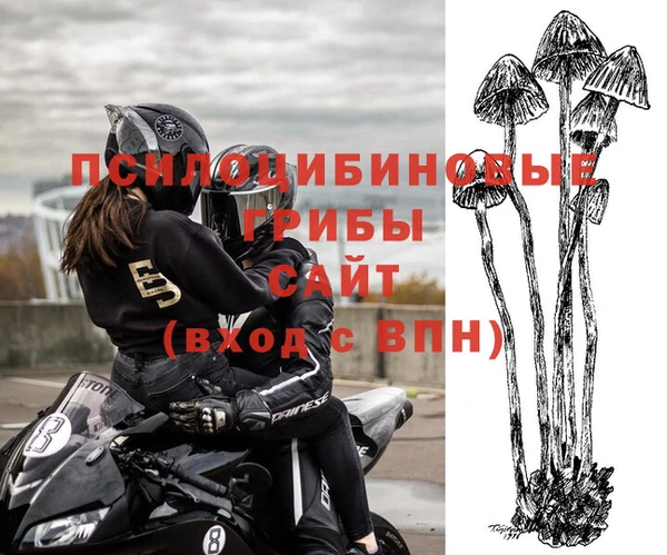2c-b Арсеньев