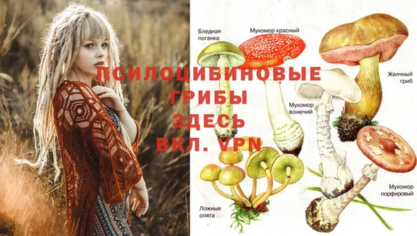винт Аркадак