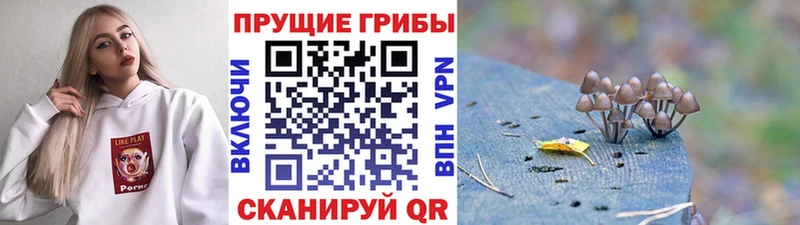 Галлюциногенные грибы MAGIC MUSHROOMS  Купить закладки  Нюрба 